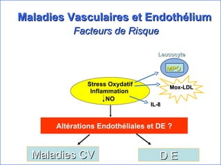 Maladies Vasculaires et Endothélium  Facteurs de Risque Stress Oxydatif NO Altérations Endothéliales et DE ? Maladies CV D E Inflammation MPO Leucocyte Mox-LDL IL-8 