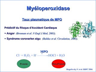 Myéloperoxidase Taux plasmatique de MPO Prédictif du Risque d’Accident Cardiaque -  Angor   (Brennan et al. N Engl J Med, 2003). -  Syndrome coronarien aigu   (Baldus et al. Circulation, 2003).   MPO Cl  -  + H 2 O 2  + H +  HOCl + H 2 O Mox-Protein Protein Moguilevsky N. et al. BBRC 2004 . 