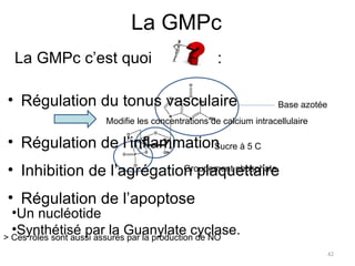 La GMPc La GMPc c’est quoi  : Un nucléotide Synthétisé par la Guanylate cyclase. Régulation du tonus vasculaire  Modifie les concentrations de calcium intracellulaire Régulation de l’inflammation Inhibition de l’agrégation plaquettaire Régulation de l’apoptose > Ces rôles sont aussi assurés par la production de NO Base azotée Sucre à 5 C Groupement phosphate 