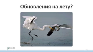 Обновления на лету?
57
 