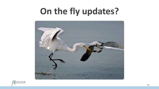 On the fly updates?
58
 