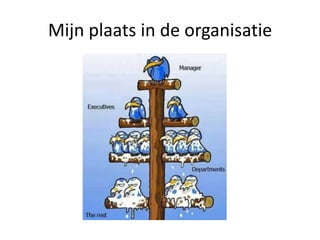 Mijn plaats in de organisatie
 