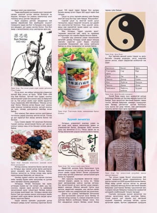 134 Уламжлалт анагаах ухаан
чанарын хоол унд хэрэглэнэ.
Таванмахбодийнсистемийнхоолтэжээлийг
цагаан хоолтой хутган ойлгож болохгүй нь
мэдээж. Хятадын гүн ухааны номлолоор хоол
тэжээлд хатуу дэглэм тавьдаггүй.
Идээ ундааны дэглэм, амьдралын хэв
маягаа өөрийнхөө бие махбодийн онцлогт
тохируулж чадах юм бол та бусдаас илүү эрүүл
энх амьдарч, урт удаан наслах болно. Энэ бол
ямар ч эмчилгээнээс илүү шалгарсан арга юм.
Зураг дээр: Тан улсын үеийн нэрт эмийн эрдэмтэн
Сүнь Симяо
Ер нь хоол, эм хоёрыг уялдуулах уламжлал
эртний Жөү улсын үе буюу МЭӨ 1046—256
онд бий болжээ. Эртний ном сударт хоолны
эмчилгээний тухай ном зохиол маш их байдгийн
нэг нь Тан улсын үеийн нэрт эмийн эрдэмтэн
Сүнь Симяогийн (МЭ 540-682он) “Мянган алтан
жор” болон “Мянган алтан бэсрэг жор” хэмээх
хоёр номонд тусгайлан өгүүлж, эртний хоолны
эм зүйн талаар дэлгэрэнгүй тайлбар өгсөн
байна.
Энэ номонд Эмч өвчин үүссэн шалтгааныг
тогтоосны дараа хоолоор эмчлэх ёстой. Тэгээд
үр дүн гарахгүй бол эмээр эмчилж болно гэж
бичжээ.
Сүнь Симяо өөрөө 142 насалсан болохоор
түүний хоолны эмчилгээний болон урт наслах
онолыг хүмүүс маш итгэн биширч хүлээн авсан
байна.
Зураг дээр: Хамгийн тэжээллэг хүнсний ногоо
болон ургамалууд
Ингээд хоолны эмчилгээ болон эмтэй хоол
нь Хятадын ард түмний дотор өргөн дэлгэрсэн
эрүүл мэндийн арга хэлбэр болоод байна.
Хоолны эмчилгээ нь Хятад улсад маш өргөн
хэрэглэгдсээр байдгийн нэг жишээ нь:
Ханиад хүрвэл нойтон гаа хэрчиж сонгино
хийж чанаад бурам хийж халуунаар нь уулгаж
хөлс гаргавал ханиад дарагдана.
Хятадууд “Өглөө босохдоо гаа идэж,
унтахдаа лууван ид” гэж хэлдэг. Давс, цуу, гаа,
сонгино, саримс зэрэг амтлагч нь цөмөөрөө
эмчилгээний үүрэг гүйцэтгэдэг бөгөөд хүмүүс
янз янзаар ашигладаг юм. Хятадын өмнөд муж
болох Гуан дун мужид хүмүүс хоолондоо эмийн
ургамал хийн идэж өвчин эмгэгээ засдаг аргыг
өргөн хэрэглэж байна.
Хэдэн мянган зүйлийн цэцэгсийн дотор
Хятадын умард нутагт хоолонд хэрэглэж болох
цэцэг 100 гаруй төрөл байдаг бол дулаан
бүсийн өмнөд нутагт бараг 260 гаруй төрөл бий
гэлцдэг.
Цэцэг нь олон төрлийн өвчинд сайн бөгөөд
эмэгтэй хүнд бол бүр сайн байдаг. Жишээлбэл:
Сарнай цэцэг нь эмэгтэй хүний цусыг
төлжүүлэн, сарын тэмдгийг тэгшилж, зүс царайг
гоо үзэсгэлэнтэй болгоно. Тоор цэцгийг загас,
амьд сам хорхойтой чанаж идвэл цус нөхөж,
дэлүү ходоодыг эмчилнэ.
Мөн Хятадын “Удвал цэцгийн архи”,
“жүржийн хальстай цай” зэрэг нь гадаадад
экспортлодог гол нэрийн бараа болсон байна.
Сүүлийн үед шинжлэх ухаан технологийн
хөгжлийг дагаад Хятадад хүний эрүүл мэндэд
хамгийн хэрэгтэй шимт бодис агуулсан
тэжээлийн бэлдмэлийг зах зээлд нийлүүлж
байгаа нь олны талархалыг их хүлээж байна.
Зураг дээр: Тэжээлийн бодис, витаминаар баялаг
бэлдмэл
Зүүний эмчилгээ
Хятадын уламжлалт анагаах ухаан нь
эрт дээр үеэс ардын эмнэлэгийн арвин их
уламжлалтай билээ. Өнгөрсөн 5000 жилийн
турш зүү эмчилгээ (针灸), Чигун, өвсөн эм нь
Хятад эмнэлэгийн үндсэн эмчилгээ болж байна.
Зураг дээр: Зүү эмчилгээний сурах бичиг.
Өвдөлтийг зогсоох буюу багасгахын тулд
өвчний голомтыг олж зүүгээр хатгах аргыг Тан
улсын үеийн судар бичигт бичиж үлдээснийг
үзвэл маш эртний уламжлалт эмчилгээний арга
болох нь тодорхой.
Эмч хурууны өндгөөрөө өвчинтэй газрыг
тэмтрэн мэдэрч, дараа нь чулуу, яс, төмөр
зэрэг материалаар хийсэн зүүгээр хатгана.
Зүү эмчилгээний үр дүнг өвчтөн шууд мэдэрч,
өвдөлт намсдаг. Иймээс өвчнийг түргэн зуур
эмчлэх, өвдөлтийг намдаах, мэс заслын нөхөн
сэргээлт хийх онц шаардлагатай үед ашиглана.
Дорны гүн ухаанд тайлбарлан бичсэнээр
хүн бол орчлонгийн салшгүй хэсэг бөгөөд чи
(эртний хятад хэлээр 氣) хэмээх энергийн хүчин
зүйлээр байнга холбогдож байдаг гэжээ. Энэ
бол амьдралын энерги бөгөөд хүний биеэр
тархан гүйж байдаг.
Зураг дээр: Арга билиг
Бүх төрлийн өвчний шинж тэмдэг нь арга-
билгийн тэнцвэр алдагдах, чигүн энергийн
урсгал зогсох, эсвэл саарахтай холбоотой гэж
үздэг.
Билэгдэл Билиг Арга
Тэнгэрийн
эрхэс
Сар Нар
Хүйс Эм Эр
Чиглэл Дотор Гадна
Илч Хүйтэн Халуун
Чиглэл Доош Дээш
Чийгшилт Чийглэг,
нойтон
Хуурай
Зураг дээр: Арга билгийн хамаарал
Хүний биед хэдэн зуун идэвхитэй цэгүүд
байрладаг бөгөөд цэг бүр өөр өөрийн онцлогтой
байдаг. Зүүн эмчилгээг өвчтөний биеийн тамир
тэнхээ, өвчний байдлаас хамаарч тохируулан
хийх бөгөөд үйлчилгээг хүчтэй болгохын
тулд зүүгээ гал дээр төөнөх, нам давтамжийн
гүйдэлд залгах зэрэг арга хэрэглэдэг.
Зураг дээр: Зүү эмчилгээний цэгүүдийг заасан
эртний баримал
Тан улсын судар бичигт өгүүлснээр 365
ширхэг идэвхитэй цэгийг тодорхойлсон бол
эдүгээ түүний тоо 2000 орчим болж өссөн байна.
Ямар ямар цэгийг нэгтгэн хатгах нь өвчний
онош, хавсрага өвчнүүд болон өвчтөний биеийн
байдлаас шалтгаалах бөгөөд туршлагатай эмч
л дээрхи нөхцөл байдалд тохируулан идэвхитэй
цэгүүдийн комбинацийг тооцож гаргадаг.
Сүүлийн жилүүдэд зүүний эмчилгээг гоо
сайхны эмчилгээнд өргөн ашиглаж байна.
Үсний ширхэг шиг нарийн зүүг өвчтөний
нүүрний тодорхой цэгүүдэд хатгаж, цусны
эргэлтийг өдөөх, булчин шөрмөсийг сулруулж
 