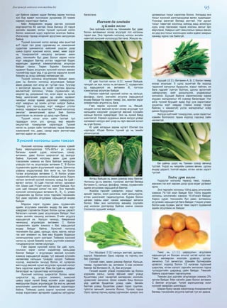 95Дэлгэрэнгүй мэдээлэл www.mychina.biz
цуг байнга сармис иддэг бөгөөд зарим тосгонд
хүн бүр өдөрт хүнсэндээ дунджаар 20 грамм
сармис хэрэглэдэг байна.
Мөн Америкийн өндөр настан хүнсний
мэргэжилтэн 80 настай Энни Вигмур 20 гаруй
жилийн өмнөөс эхлэн түүхий хүнсний ногоо
болон жимсний шүүс хэрэглэж эхэлсэн байна.
Ингэснээр тэрээр илэрхий эрүүлжин залуужсан
байна.
Түүхий хүнсний ногоо яагаад ийм ашигтай
вэ? гэдэг тал дээр судлаачид их хэмжээний
судалгаа шинжилгээ хийсний үндсэн дээр
шинэ соргог хүнсний ногоо, жимс, мөөг зэрэг
нь тохиромжтой нөхцөлд витамин амин
дэм, техникийн бус давс болон зарим нэгэн
хорт хавдрын бактер устгах чадалтай бодис
харилцан адилгүй хэмжээтэйгээр агуулсан
байдаг гэжээ. Төрөл бүрийн биологийн
идэвхит бодис агуулсан хүнсний ногоон зөвхөн
түүхийгээр идэх үед л үр дүнгээ харуулж хүний
биеийн эд эсэд сайнаар нөлөөлдөг аж.
Түүхий ногоонд агуулагдаж байдаг амин
дэм нь болсон ногоонд агуулагдаж байдаг
амин дэмээс хол илүү ач тустай гэнэ. Түүгээр
ч зогсохгүй арьсны эд эсийг сэргээн арьсны
өвчлөлтийг зогсооно. Улаан луувангийн эд,
модлог эд, дэгдэмхий тос, исэл зэрэг нь хүний
биед шингэсний дараа эд эсийн идэвхит
чанарыг ихээр өдөөж дархлааг сайжруулан,
хорт хавдрын эд эсийн устгал хийдэг байна.
Гадаад улс орнуудад хорт хавдрыг утсгах
энэхүү чадварыг нь ашиглан “Түүхий ногоогоор
эмчлэх” эмчилгээний аргыг бий болгон
ашигласан нь ихээхэн үр дүнд хүрч байна.
Түүхий ногоо олон сайн талтай тул
гадаадын олон улс орнууд өөр өөрийн
онцлогтой тохируулан хэрэглэдэг. Түүхий
ногоо нь дээрх сайн талтайгаас гадна багахан
хэмжээний тос, давс, сахар зэрэг амтлагчаар
амтлан идвэл их сайхан.
Хүнсний ногооны шим тэжээл
Хүнсний ногооны найрлагын ихэнх хувийг
буюу ойролцоогоор 70%-90%-г ус үлдсэн
багахан хувийг уураг, холестрин, сахар,
витамин, давс болон ширхэглэг эд эзэлдэг
байна. Хүнсний ногооны амин дэм шим
тэжээлийн хэмжээ их бага байгааг магадлан
үзэхдээ гол нь агуулагдах витамин С, В болон
луувангийн эдийн агууламжийг харна. Шинжлэх
ухааны үндэслэлээр бол өнгө нь гүн болох
тусам агуулагдах витамин С, В болон улаан
луувангийн эдийн хэмжээ их байдаг ажээ. Харин
ногоон өнгөтэй хүсний ногооны хувьд Бө Цай /
өргөст ногоо/, Ю Цай /тостой ногоо/, ороомол
гол, Шиан цай /Үнэрт ногоо/, жижиг байцаа, Кун
шин цай /хөндий ногоо/ гэх мэт. Энэ төрлийн
хүнсний ногоонуудын витамин В1
, В2
, С, улаан
луувангийн эд болон олон төрлийн техникийн
бус давс зэргийн агууламж харьцангуй өндөр
байдаг.
Мэдээж хэрэг лууван дахь луувангийн
эдийн агууламж хамгийн өндөр ба мөн хорт
хавдраас сэргийлэх бодис болон цусны даралт
багасгагч калийн давс агуулагдаж байдаг. Нил
ягаан өнгийн хашинд витамин D-ийн агуулга
харьцангуй их. Халуун чинжүү, бөөрөнхий
чинжүүнд агуулагдах витамин С болон
луувангийн эдийн хэмжээ ч бас харьцангуй
өндөр байдаг байна. Хүнсний ногоонд
техникийн бус давс, кальци, кали, магни, натри
гэх мэт элемент нь бие мах бодийн бодисын
солилцоогоор шүлт үүсгэдэг. Тиймээс хүнсний
ногоо нь хүний биеийн хүчил, шүлтийн хэмжээг
тэнцвэржүүлэх нөлөө үзүүлдэг.
Гэвч зарим хүнсний ногоо Бө цай, хулс,
сонгино зэрэг ногоо хэдийгээр кальцаар
баялаг байдаг ч агуулагдах өвсний хүчлийн
хэмжээ харьцангуй өндөр тул өвсний хүчлийн
нөлөөгөөр кальцын тунадас үүсдэг. Тиймээс
хүүхэд, жирэмсэн эхчүүд болон яс хугарсан
өвчтнүүд өвсний хүчил агуулсан хүнсний ногоог
бага хэрэглэх хэрэгтэй. Мөн Бө Цай нь цайрыг
багасгадаг нь туршилтаар нотлогджээ.
Хүнсний ногоонд ширхэглэг болон хагас
ширхэглэг эд, үндсэн элемент, жимсний
цавуу зэрэг хүний биед ислийн усан задрал
явагдуулах бодис агуулагддаг ба энэ нь цөсний
алкоголийн шингээлтийг багасгаж хориглодог
байна. Тиймээс шинэ соргог хүнсний ногоог
ихээр хэрэглэвэл артерийн судасны хатуурлыг
багасгана.
Навчит ба хөвдийн
зүйлийн ногоо
Энэ зүйлийн ногоо нь техникийн бус давс
болон витаминыг ихээр агуулдаг гол ногооны
төрөл юм. Энэ төрлийн ногоонд ногоон өнгийн
навчтай хүнсний ногоонууд багтана. Жишээ нь:
Ю цай /тостой ногоо 油菜/, жижиг байцаа,
чинцай гэх мэт ногоо нь витамин С, луувангийн
эд харьцангуй их, витамин В1
тогтсон
хэмжээгээр агуулсан байдаг.
Ногоон навчтай хүнсний ногоо нь кальци,
фосфор, кали, магнийн агуулга харьцангуй
өндөр байдаг ба харин төмөр, зэс, манган зэрэг
элементийн агуулга нь бага.
Гэвч зарим хүнсний ногоо нь /бөцай,
хөндий ногоо/ өвсний хүчил ихээр агуулдаг тул
кальцийн нэгдлийг уусдаггүй өвсний хүчлийн
кальци болгон хувиргадаг. Энэ нь хүний биед
шингэхгүй. Хэрвээ хуурахын өмнө халуун усаар
халаавал нялуун амт үнэр нь гарч өвсний хүчил
нь үгүй болно.
Ю цайг хятадын зарим нутагт Юнтай гэж
нэрлэдэг. Юцай болон түүний үр нь эмийн
үйлилгээтэй.
Хятад байцаа нь амин дэмээр маш баялаг.
Ногооны эд нь зөөлөн, тунгалаг, амттай бөгөөд
Витамин С, кальци, фосфор, төмөр, луувангийн
эдийн агууламж харьцангуй баялаг.
Ходоод гэдсийг цэвэрлэн, хорыг тайлж,
архийг гарган, хоол шингээж, хийг доошлуулж,
өтгөн шингэнийг гадагшлуулна. Бурам болон
цагаан гааны хамт чанаж ханиадыг эмчилж
болно. Мөн энэ ногоогоор манайд сүүлийн
үед ихээхэн дэлгэрээд байгаа кимчи хэмээх
Солонгос зуушийг хийдэг.
Гич /Mustard 芥菜/ халуун амттай, дулаан,
хоргүй. Манайхан Орос нэрээр нь горчиц гэж
бас нэрлэдэг.
Гичний навч, амин дэмээр баялаг. Кальци,
төмөр, луувангийн эд, витамин С-ээр ихээхэн
баялаг ба Витамин В1
, В2
бас агуулдаг.
Гичний ишийг улаан луувангийн эд болон
жүржийн хальс, чихэр өвсний хамт усанд
буцалгаад ужиг чанартай мөгөөрсөн хоолойн
үрэвслийг эмчилнэ. Шээс хэвийн биш болсон
үед цайтай буцалгаж уухад сайн. Зөгийн
балтай усанд буцалгаж уувал гэдэс суулгах,
гүйлгэх өвчнийг эмчилж болно. Үүнээс гадна
Орос оронд горчиц идээд сурчихсан хүмүүс энэ
ургамалын тосыг хэрэглэж болно. Хятадад энэ
тосыг хүнсний дэлгүүрүүдээр өргөн худалддаг.
Үнэхээр аагитай бөгөөд амттай. Нэг дусал
тосыг тавагтай хоолонд хийхэд маш анхилуун
хурц үнэр гаргахаас гадна хоолны амтыг эрс
өөрчлөнө. Хаврын цагт амьсгалын замын өвчин
их үед энэ тосыг хоолондоо хийж идвэл хамрын
ханиад хүрнэ гэж байхгүй.
Бууцай (菠菜). Витамин А, В, С болон төмөр
ихээр агуулдаг. 5 цулд ашигтай ба ходоод
гэдэсний халууныг бууруулж, хорыг тайлан, их
бага гэдсийг хүйтэн болгож, цусны эргэлтийг
сайжруулан, хийг доошлуулж, ундаасахыг
зогсооно. Бууцай байнга хэрэглэснээр хараа
муудах магадлалыг 45 хувиар багасгадаг. Нэг
аяга түүхий бууцайг өдөр бүр ууж хэрэглэвэл
уушигны хорт хавдар (тамхи ихээр татдаг
байсан ч хамаагүй) үүсэх магадлалыг хоёр
дахин бууруулдаг.
Халуун хүйтнийг тохируулан, шээс гаралтыг
хэвийн болгохоос гадна ходоод гэдсэнд сайн
нөлөөтэй.
Бө цайны шүүс нь Тахиан сохор өвчинд
тустай. Үндэс нь чихрийн шижин өвчин, цусны
өндөр даралт, толгой өвдөх, өтгөн хатах зэрэгт
тустай.
Үндэс үрт ногоо
Үндэслэг ногооны төрөлд төмс, лууван,
манжин гэх мэт хөрсөн доор үрээ өгдөг ургамал
орно.
Энэ төрлийн ногооны 100гр дахь илчлэгийн
хэмжээ 79-100 ккал байдаг бол 100гр ердийн
ногооны илчлэгийн хэмжээ 10-41ккал байдаг.
Харин уураг, техникийн бус давс, витамины
агууламж харьцангуй бага байдаг. Гэхдээ улаан
болон шар лууван, амтат төмс зэрэгт луувангий
эдийн агууламж их байдаг.
Төмс нь (土豆) цардуулын агууламж
харьцангуй их боловч илчлэг ихтэй ногоо юм.
Төмс мөгөөрсөн хоолойн үрэвсэл, дэлүүг
эмчилнэ. Гол эмчилгээ: Шанайн булчирхайн
үрэвсэл, ходоод болон 12 нугалаа гэдэсний
шархлаа, өтгөн хаталт зэргийн эмлэхээс гадна
түлэгдэлтийн шарханд сайн байдаг. Төмсийг
байнга хэрэглэвэл таргалуулна.
Төмсөн дэх уургийн агуулагдах хэмжээ 2%
орчим байдаг. Мөн калийн давс болон витамин
С баялаг агуулдаг. Үүний зэрэгцээгээр хоол
хүнсийг амархан шингээдэг.
Шарах буюу чанаж хэрэглэхэд тохиромжтой
бөгөөд тэжээлийн агуулга сайтай тул өл даана.
 