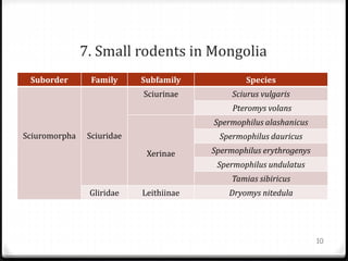 7. Small rodents in Mongolia
Suborder Family Subfamily Species
Sciuromorpha Sciuridae
Sciurinae Sciurus vulgaris
Pteromys volans
Xerinae
Spermophilus alashanicus
Spermophilus dauricus
Spermophilus erythrogenys
Spermophilus undulatus
Tamias sibiricus
Gliridae Leithiinae Dryomys nitedula
10
 