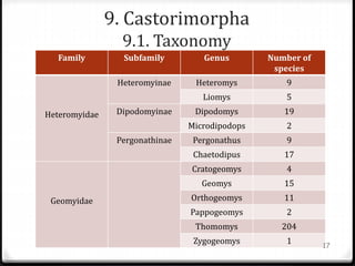 9. Castorimorpha
9.1. Taxonomy
Family Subfamily Genus Number of
species
Heteromyidae
Heteromyinae Heteromys 9
Liomys 5
Dipodomyinae Dipodomys 19
Microdipodops 2
Pergonathinae Pergonathus 9
Chaetodipus 17
Geomyidae
Cratogeomys 4
Geomys 15
Orthogeomys 11
Pappogeomys 2
Thomomys 204
Zygogeomys 1 17
 