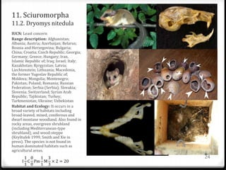 11. Sciuromorpha
11.2. Dryomys nitedula
IUCN: Least concern
Range description: Afghanistan;
Albania; Austria; Azerbaijan; Belarus;
Bosnia and Herzegovina; Bulgaria;
China; Croatia; Czech Republic; Georgia;
Germany; Greece; Hungary; Iran,
Islamic Republic of; Iraq; Israel; Italy;
Kazakhstan; Kyrgyzstan; Latvia;
Liechtenstein; Lithuania; Macedonia,
the former Yugoslav Republic of;
Moldova; Mongolia; Montenegro;
Pakistan; Poland; Romania; Russian
Federation; Serbia (Serbia); Slovakia;
Slovenia; Switzerland; Syrian Arab
Republic; Tajikistan; Turkey;
Turkmenistan; Ukraine; Uzbekistan
Habitat and Ecology: It occurs in a
broad variety of habitats including
broad-leaved, mixed, coniferous and
dwarf montane woodland. Also found in
rocky areas, evergreen shrubland
(including Mediterranean-type
shrubland), and wood-steppe
(Kryštufek 1999, Smith and Xie in
press). The species is not found in
human dominated habitats such as
agricultural areas.
I
1
1
C
0
0
Pm
1
1
M
3
3
× 2 = 20
24
 