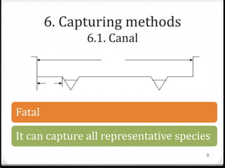 6. Capturing methods
6.1. Canal
Fatal
It can capture all representative species
8
 