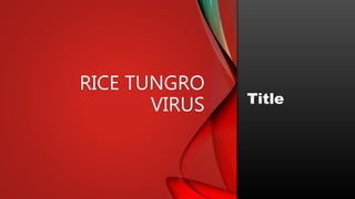 RICE TUNGRO
VIRUS Title
 