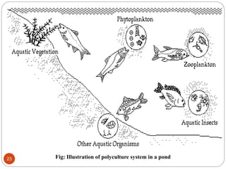 Fig: Illustration of polyculture system in a pond23
 