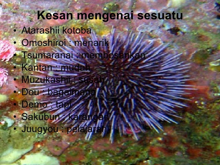 Jikan Wari Jadwal Pelajaran