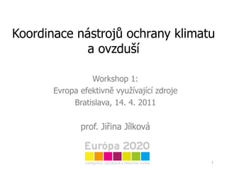 Koordinace nástrojů ochrany klimatu a ovzduší Workshop 1: Evropa efektivně využívající zdroje Bratislava, 14. 4. 2011 prof. Jiřina Jílková 