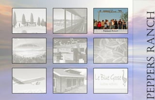 PeppersRanch
Peppers Ranch
 