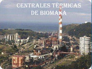 Centrales térmicas
    de biomasa
 