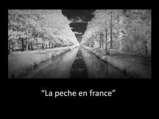 “La peche en france”

 