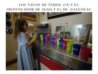 LOS VASOS DE TODOS (19) Y EL DISPENSADOR DE AGUA Y EL DE  GASEOSAS 