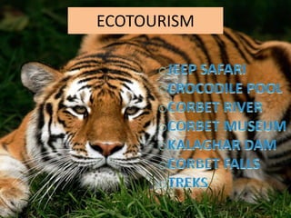 ECOTOURISM
 