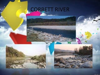 CORBETT RIVER
 