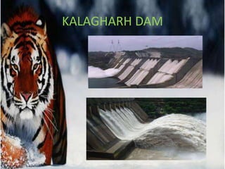 KALAGHARH DAM
 