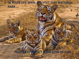 • IN YOUR LIFE SPAN, DO VISIT THIS NATIONAL
PARK….
YOU’LL DEFINATELY HAVE LOTS OF FUN….
 