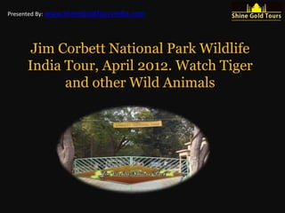 Jim Corbett National Park India
Watch Tiger and other Wild Animals
Presented By: Shine Gold Tours India
 