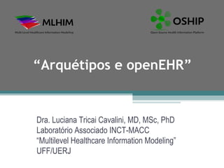 “Arquétipos e openEHR”


Dra. Luciana Tricai Cavalini, MD, MSc, PhD
Laboratório Associado INCT-MACC
“Multilevel Healthcare Information Modeling”
UFF/UERJ
 