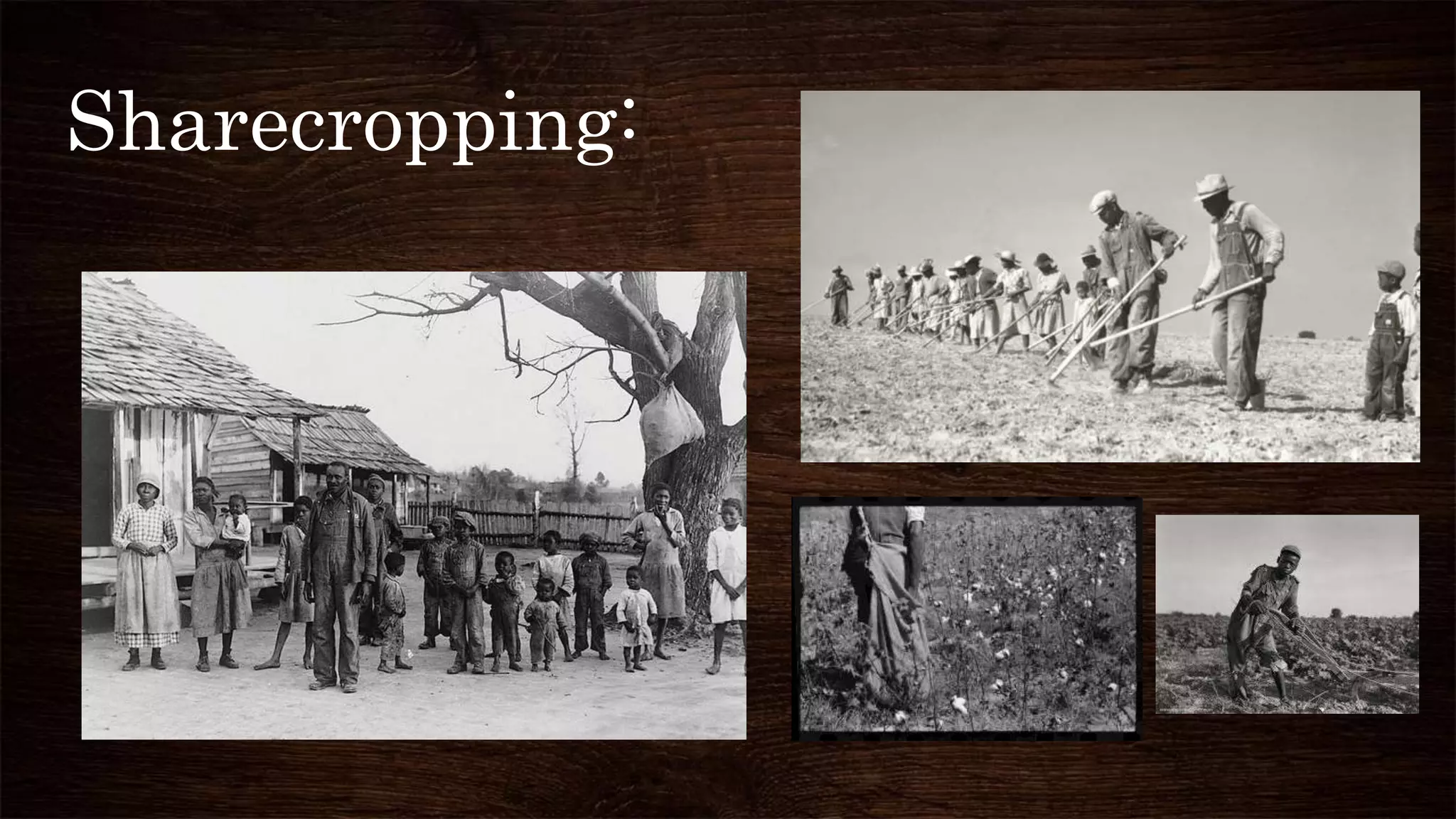 Sharecropping:
 