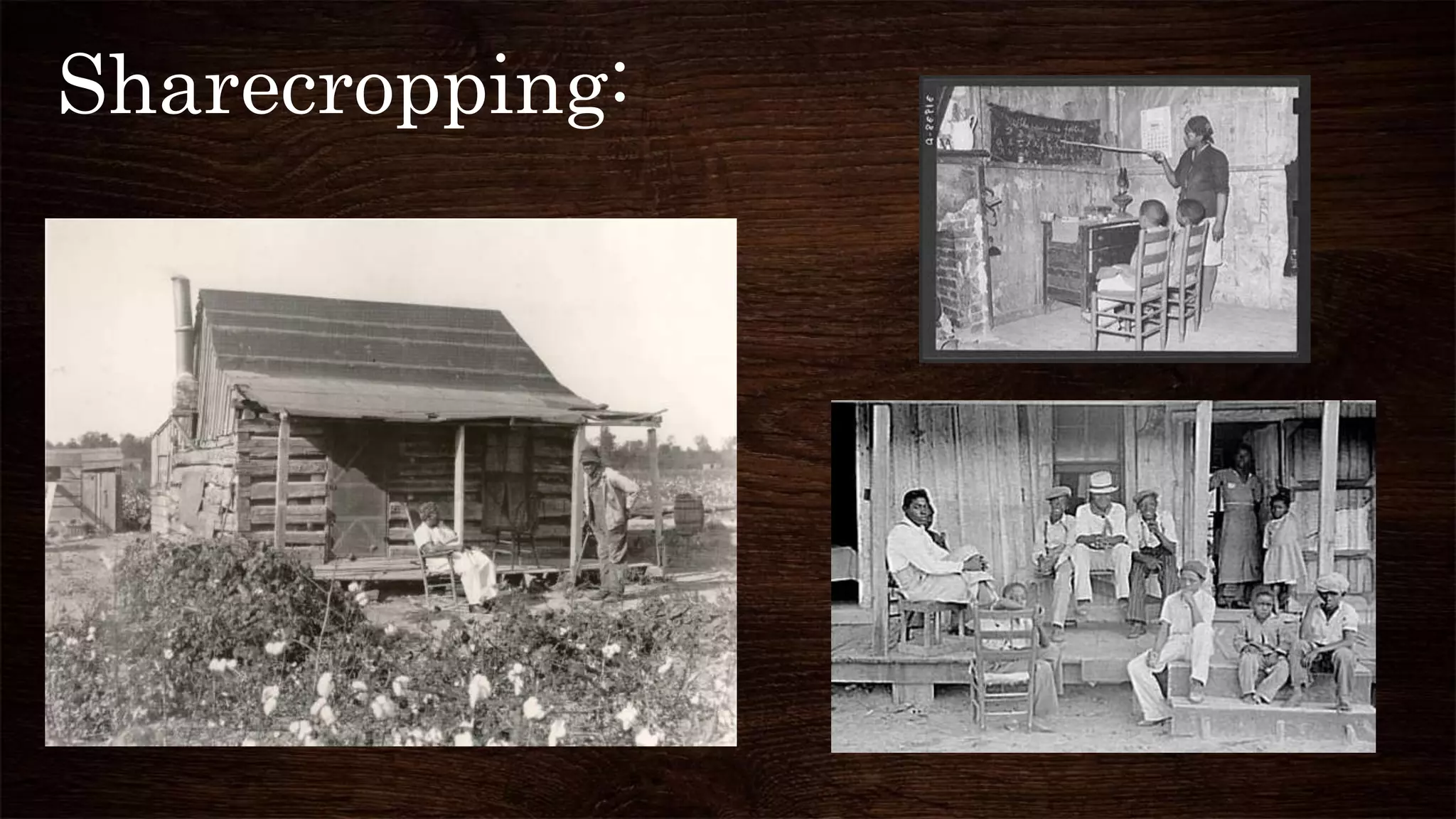 Sharecropping:
 