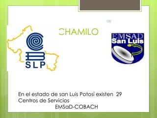 CHAMILO




En el estado de san Luis Potosí existen 29
Centros de Servicios
              EMSaD-COBACH
 
