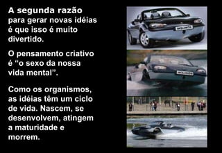 A segunda razão   para gerar novas idéias é que isso é muito divertido. O pensamento criativo é “o sexo da nossa vida mental”.  Como os organismos, as idéias têm um ciclo de vida. Nascem, se desenvolvem, atingem a maturidade e morrem. 