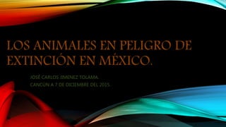 LOS ANIMALES EN PELIGRO DE
EXTINCIÓN EN MÉXICO.
JOSÉ CARLOS JIMENEZ TOLAMA.
CANCÚN A 7 DE DICIEMBRE DEL 2015.
 
