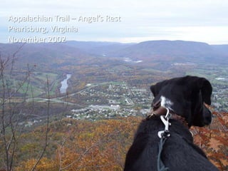 Appalachian Trail – Angel’s Rest
Pearisburg, Virginia
November 2002
 