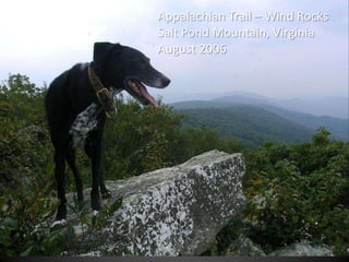Appalachian Trail – Wind Rocks
Salt Pond Mountain, Virginia
August 2006
 