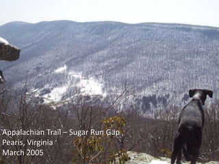 Appalachian Trail – Sugar Run Gap
Pearis, Virginia
March 2005
 