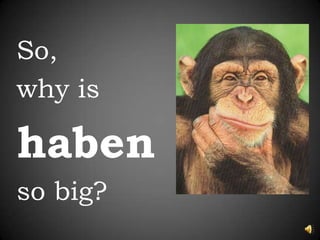 So,why is habenso big?