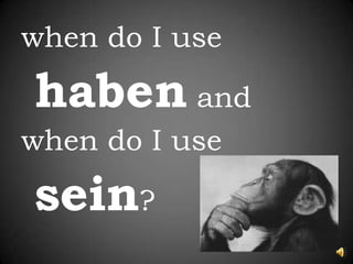 when do I use haben andwhen do I usesein?