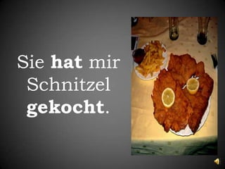 Siehatmir Schnitzel gekocht.