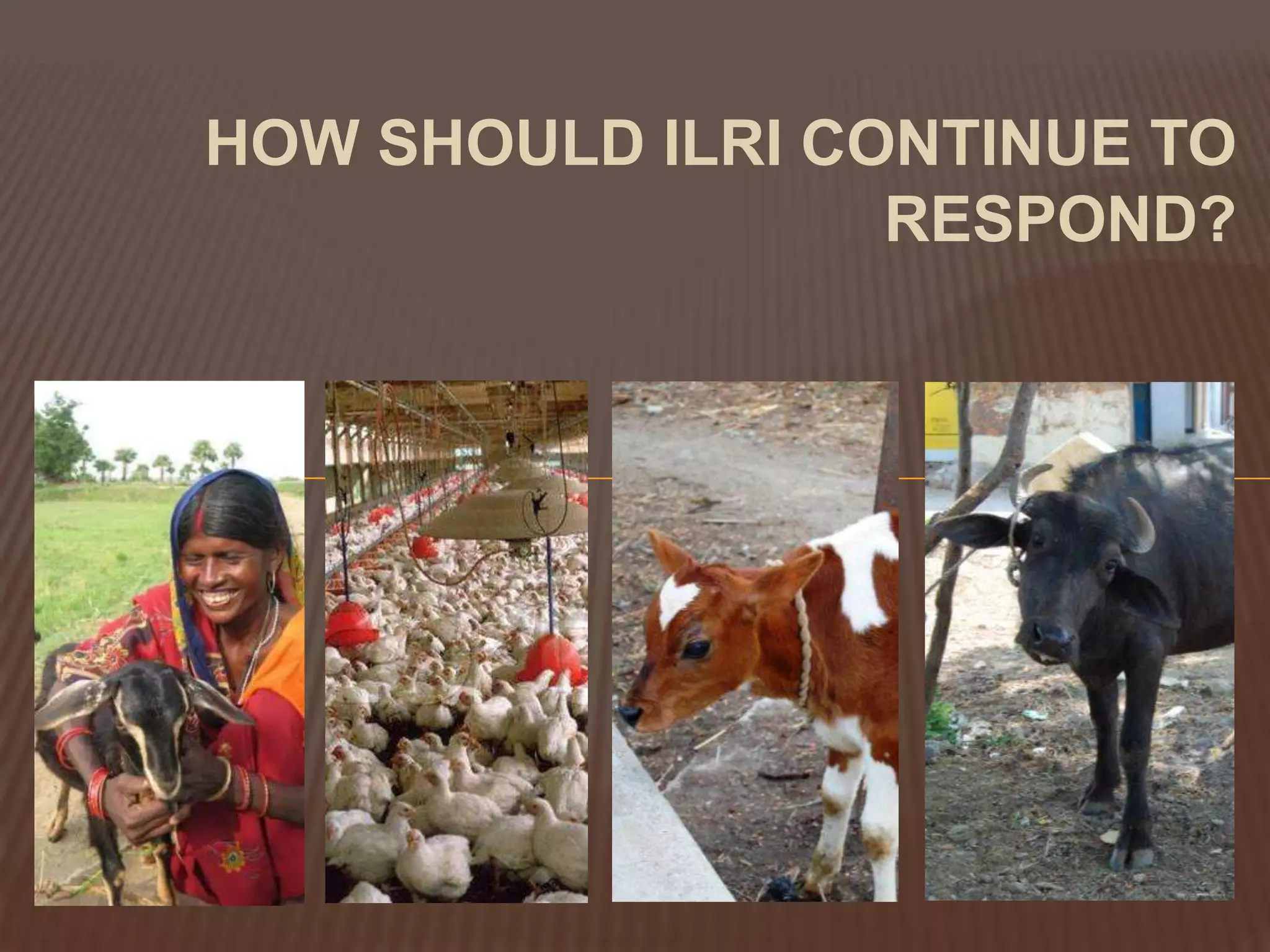 HOW SHOULD ILRI CONTINUE TO RESPOND?