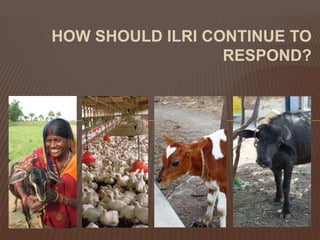 HOW SHOULD ILRI CONTINUE TO RESPOND?