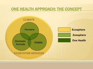 Agriculture from $50m to $350m annually