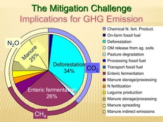Serving within a co-sponsor – World Bank
