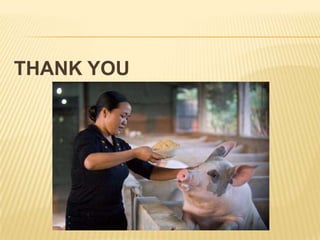 ILRI’s Future in the Emerging Global Context: What are the critical outcomes that ILRI should deliver in the next 5 to 10 years?