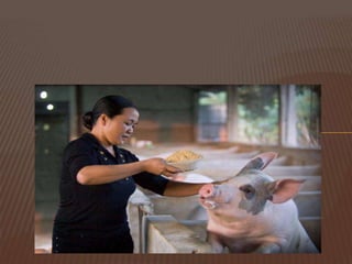 ILRI’s Future in the Emerging Global Context: What are the critical outcomes that ILRI should deliver in the next 5 to 10 years?