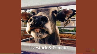 Science-fiction or science-fact? Research for sustainable livestock agri-food systems