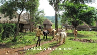 Science-fiction or science-fact? Research for sustainable livestock agri-food systems