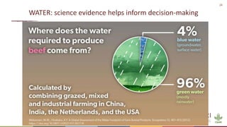 Science-fiction or science-fact? Research for sustainable livestock agri-food systems