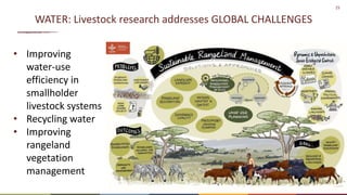 Science-fiction or science-fact? Research for sustainable livestock agri-food systems