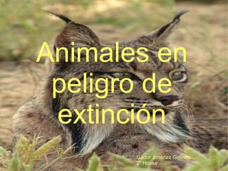 Animales en peligro de extinción Gádor Jiménez Galindo 2º Hooke 