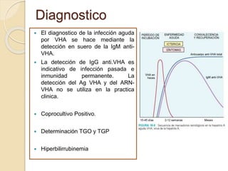 Diagnostico
 El diagnostico de la infección aguda
por VHA se hace mediante la
detección en suero de la IgM anti-
VHA.
 La detección de IgG anti.VHA es
indicativo de infección pasada e
inmunidad permanente. La
detección del Ag VHA y del ARN-
VHA no se utiliza en la practica
clinica.
 Coprocultivo Positivo.
 Determinación TGO y TGP
 Hiperbilirrubinemia
 