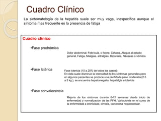 Cuadro Clínico
La sintomatología de la hepatitis suele ser muy vaga, inespecífica aunque el
síntoma mas frecuente es la presencia de fatiga
Cuadro clínico
•Fase prodrómica
•Fase Ictérica
•Fase convalecencia
Dolor abdominal, Febrícula, o fiebre, Cefalea, Ataque al estado
general, Fatiga, Mialgias, artralgias, Hiporexia, Náuseas o vómitos
Fase ictericia (10 a 20% de todos los casos):
En ésta suele disminuir la intensidad de los síntomas generales pero
en algunos pacientes se produce una pérdidade peso moderada (2.5
a 5 kg ), se encuentra hepatomegalia, hepatalgia e ictericia
Mejoria de los sintomas durante 6-12 semanas desde inicio de
enfermedad y normalizacion de las PFH, Variacionde en el curso de
la enfermedad a cronicidad, cirrosis, carcinoma hepatocelular.
 